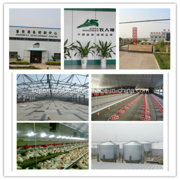 Automatic Poultry Equipment of Ventilation System